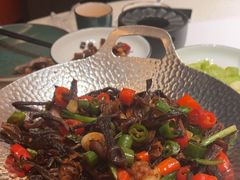 -鸽子侯·家宴·平价海鲜(绿地店)