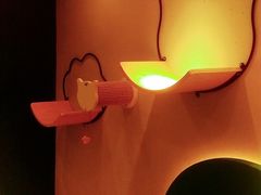 -飞行喵MR PILOT|猫舍·猫咖(静安大融城店)