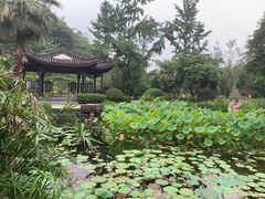-重庆园博园