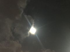 -垦丁辉哥生鱼片