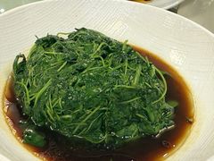 -新聚丰菜馆(太监弄店)