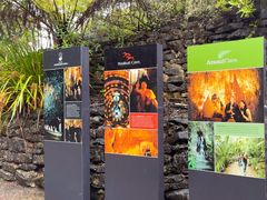 -怀托摩萤火虫洞