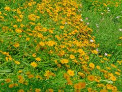 -西湖风景区-江洋畈生态公园