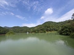 -广州白江湖森林公园