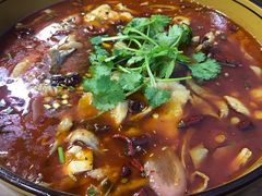 -燕兵眉州肥肠鱼饭店