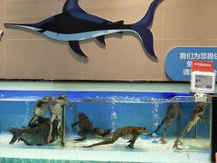 -盒马鲜生(顺义店)