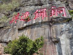 -铁山坪森林公园