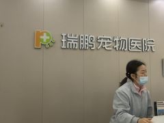 -瑞鹏宠物医院·骨外科·心肾科·肿瘤科(九亭店)