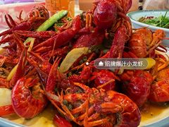 -杨氏青龙虾·羊蝎子(珠江路店)