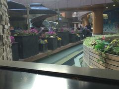 -bluefrog蓝蛙(水游城店)