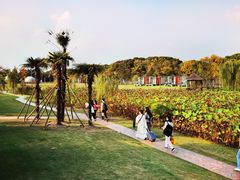 -上海怡沁园度假酒店