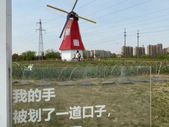 -菊园百果园