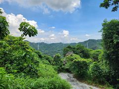 -阳台山森林公园