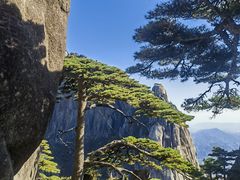 -黄山风景区