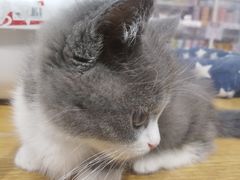 -狗道宠物(常熟印象城店)