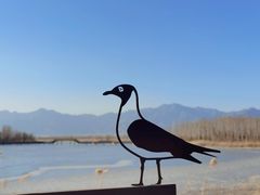 -野鸭湖国家湿地公园