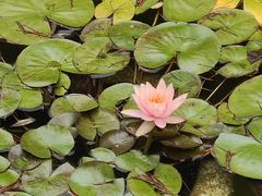 -青岛德国总督楼旧址博物馆