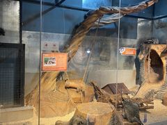 -昆明大悦城未来动物城(螺蛳湾中心店)