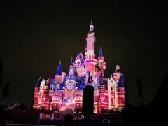 -上海迪士尼度假区