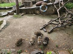 -上海野生动物园