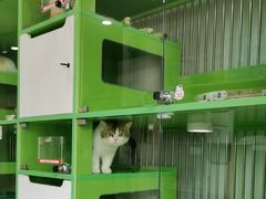 -唐小姐の猫狗洗护·购宠旗舰店(周浦万达店)