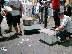 -菜园坝水果市场