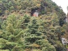 -苍山感通索道