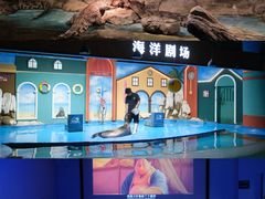 -重庆欢乐海底世界