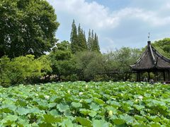 -上海醉白池公园