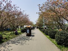 -凤凰沟景区
