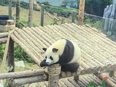 -大连森林动物园
