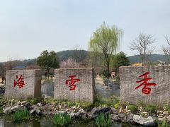 -香雪海