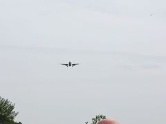 -空港花田景区