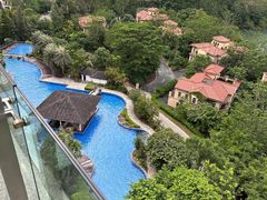 -河源万绿湖美思威尔顿酒店