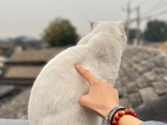 -前叁門