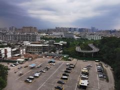 -飞凤山奥体公园