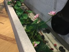 -丽池宫韩式汗蒸会馆(华灯坊店)