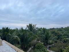 -海南清水湾莱佛士酒店