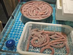 -喜来酌海鲜·饺子(和平一店)