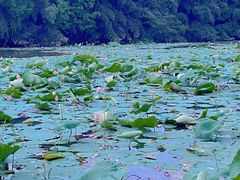 -艾溪湖湿地公园