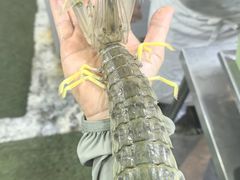 -大树下海鲜饭店