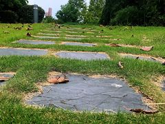 -白塘生态植物园