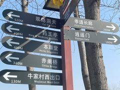 -合肥滨湖国家森林公园