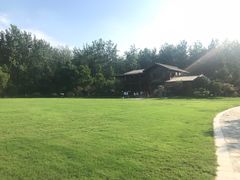 -合肥滨湖国家森林公园