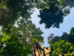 -西双版纳原始森林公园