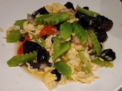 苜蓿有机青笋-宝轩渔府·老字号海鲜·正宗津菜(水上店)