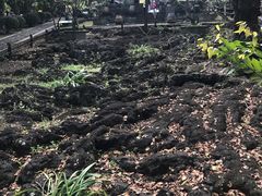 -海口火山口国家地质公园