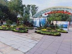 -南山植物园