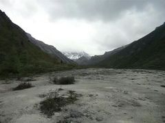 -黄龙山原始森林景区