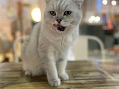 -小时光咖啡馆(开森度假森林店)